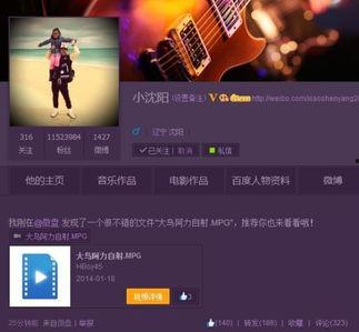 国产同性视频免费播放器,免费播放器带你领略视听新体验