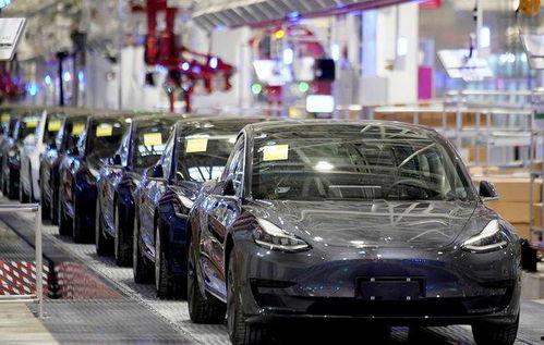 特斯拉国产车对话视频下载